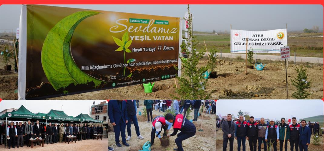 11 Kasım Milli Ağaçlandırma Günü Fidan Ekim Etkinliği Gerçekleştirildi.