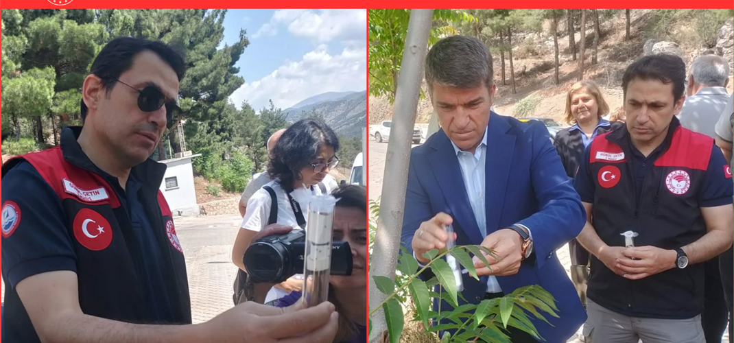 AMASYA'DA SAMURAY ARISI SALIMI GERÇEKLEŞTİRİLDİ