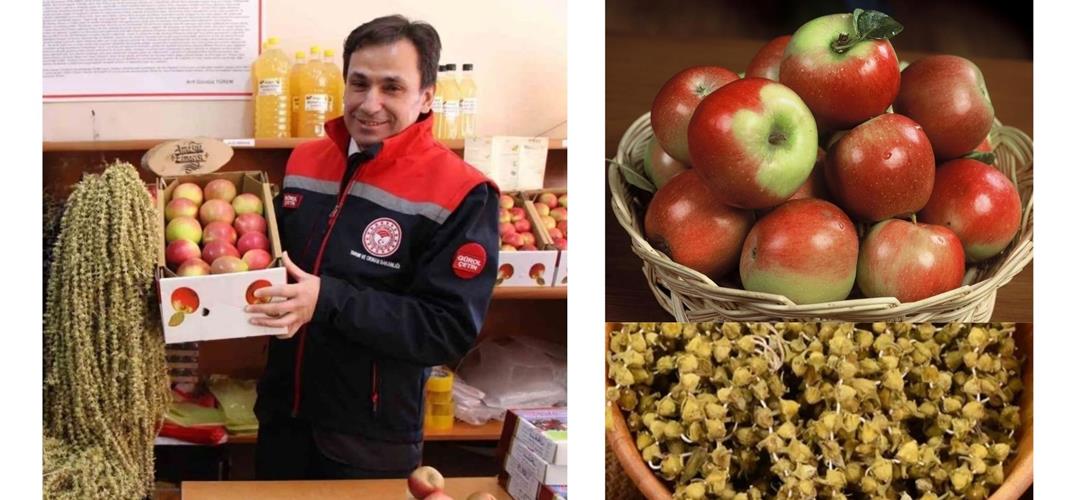 🍏🌿 🌍 Amasya misket elması ve çiçek bamyası için AB coğrafi işaret tescil başvurusu yapıldı 